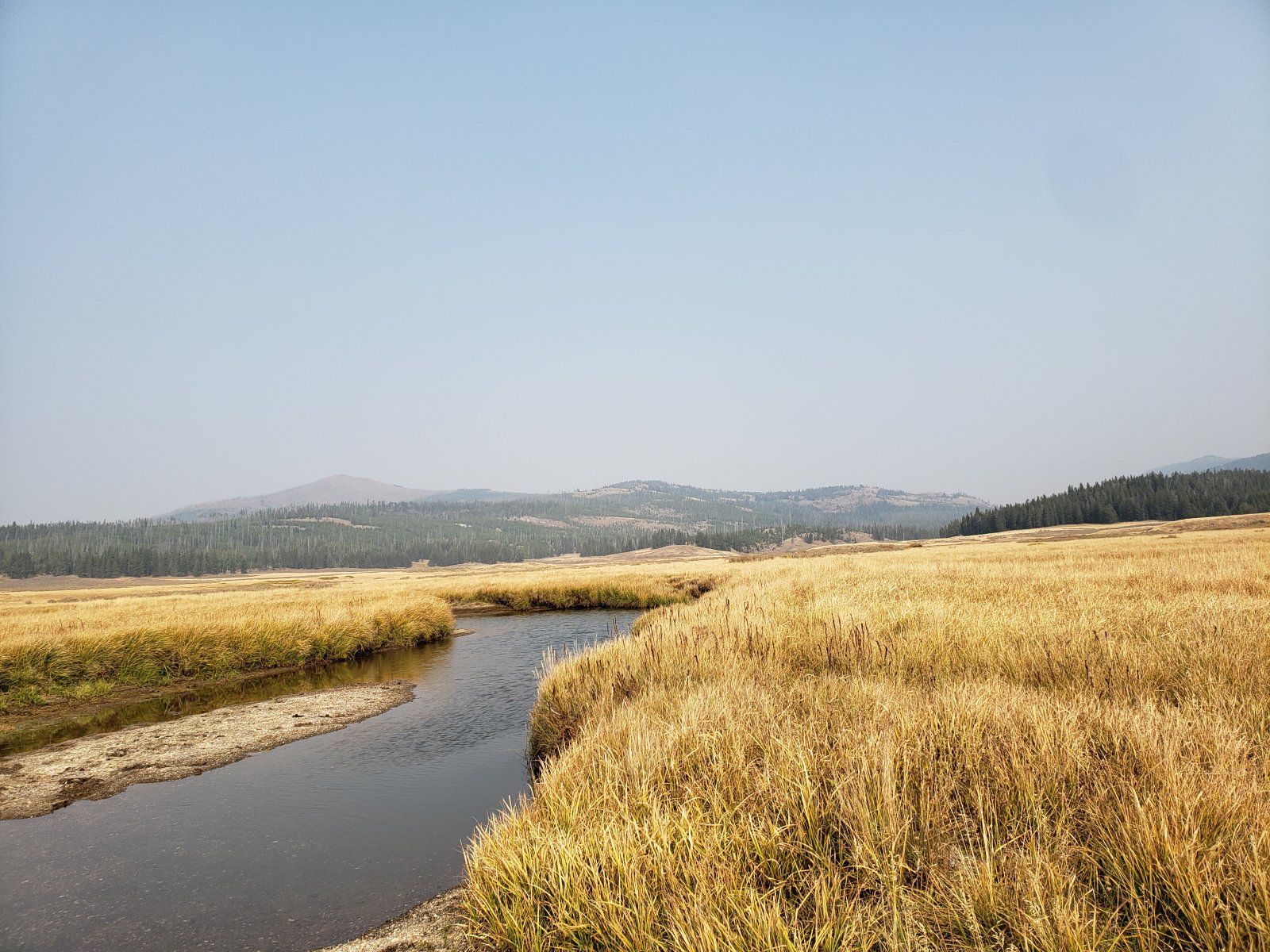 Photo from trip report