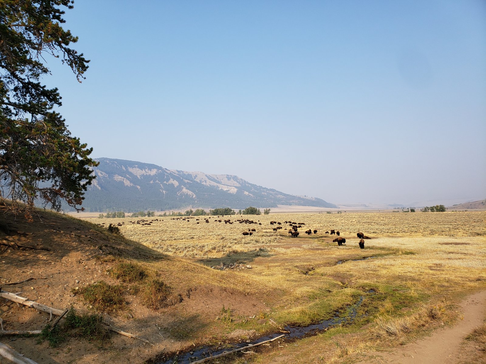 Photo from trip report