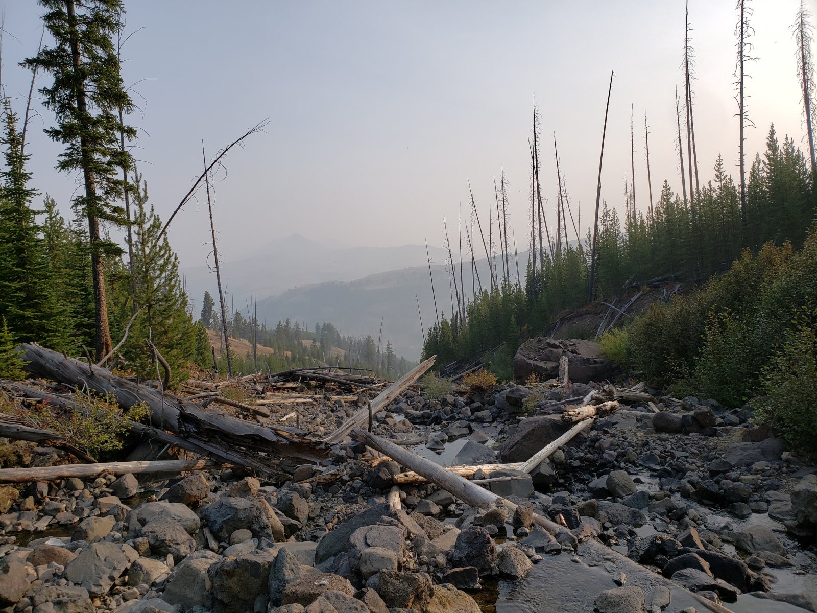 Trip photo from 009572