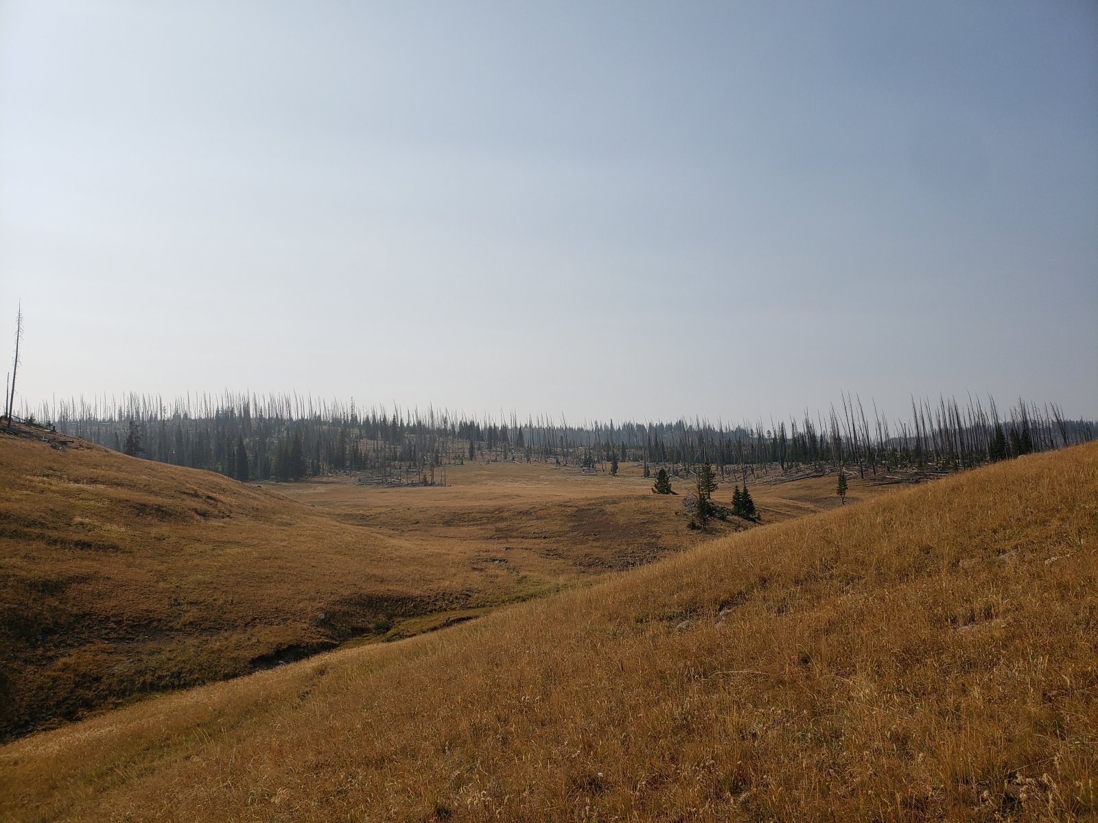 Trip photo from 009572