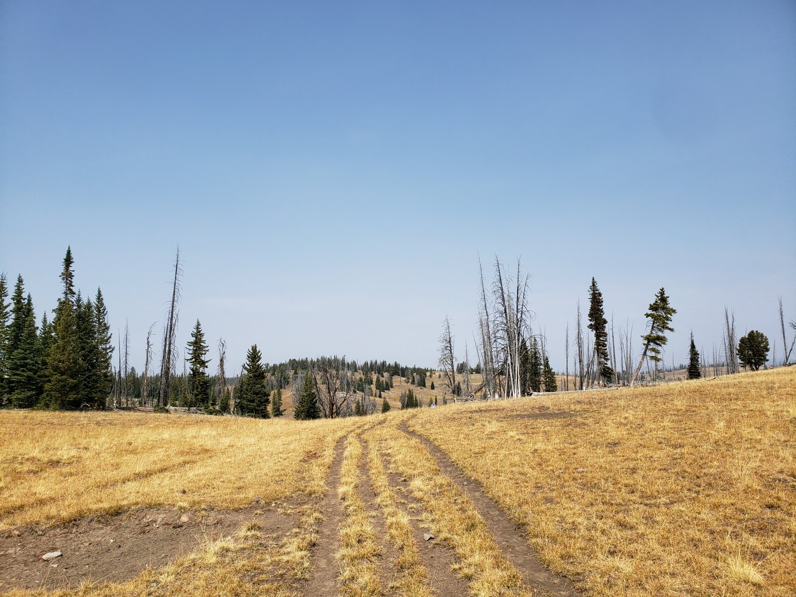 Trip photo from 009572