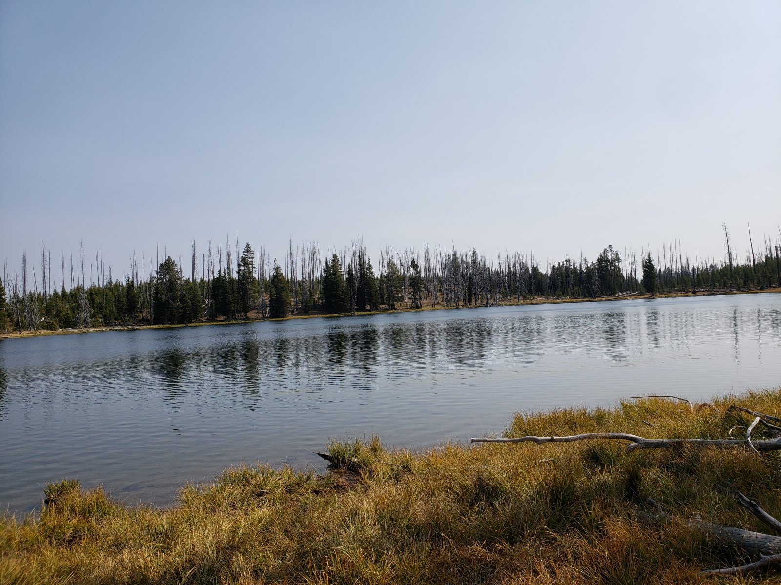 Trip photo from 009572