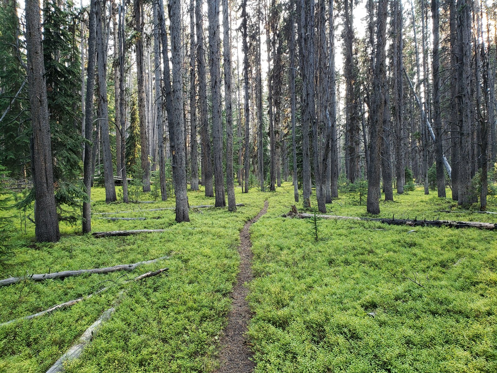 Trip photo from 009572