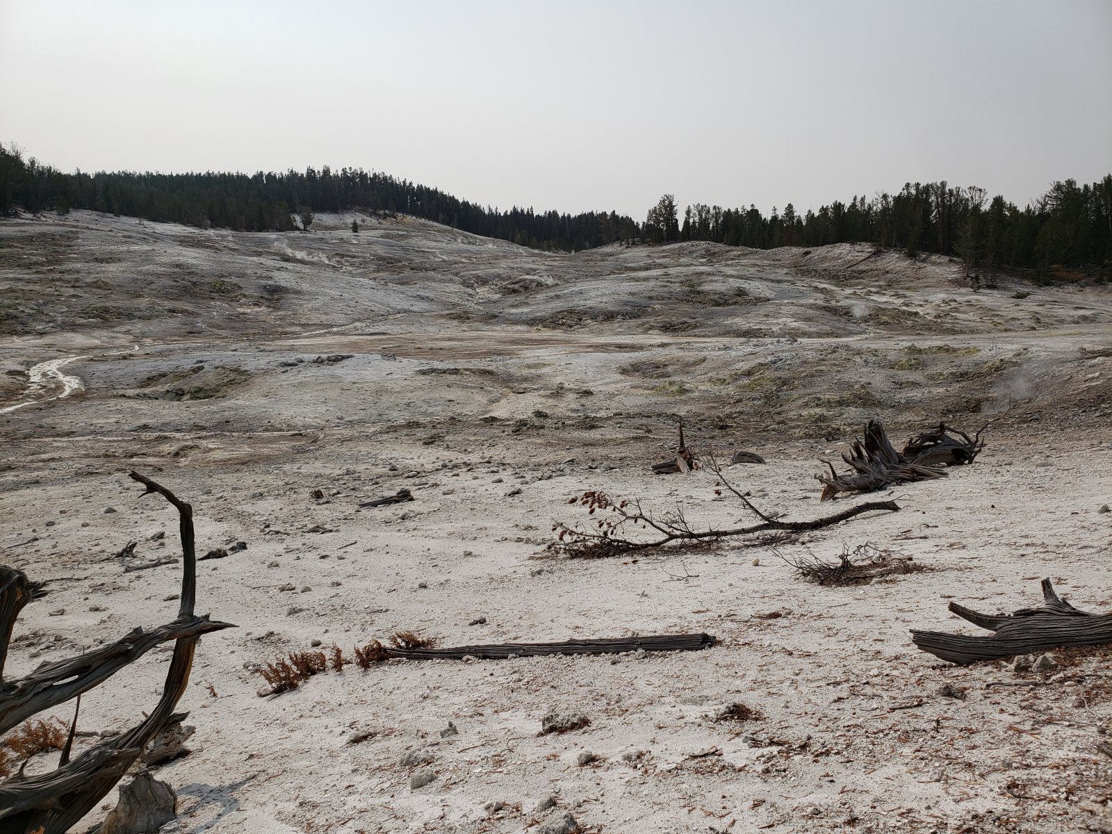 Trip photo from 009572