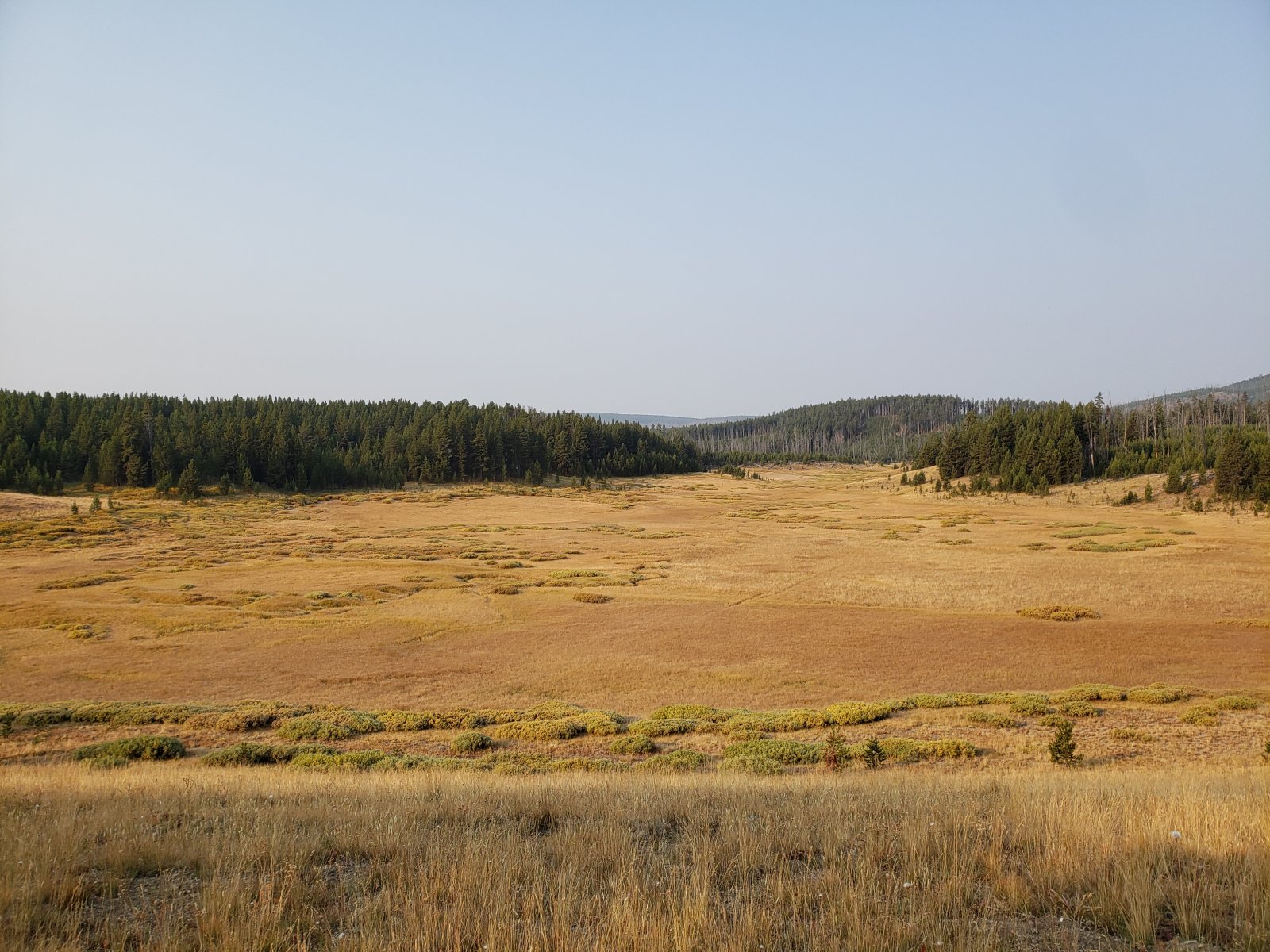 Trip photo from 009572