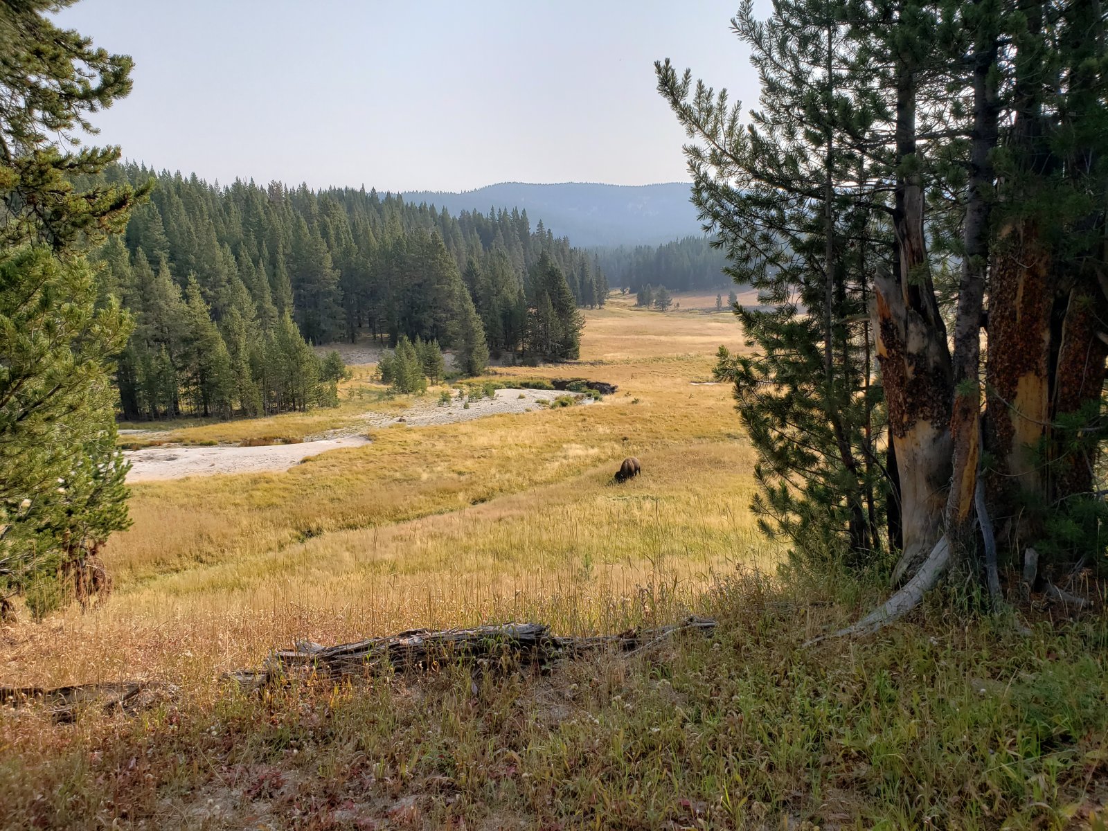 Trip photo from 009572