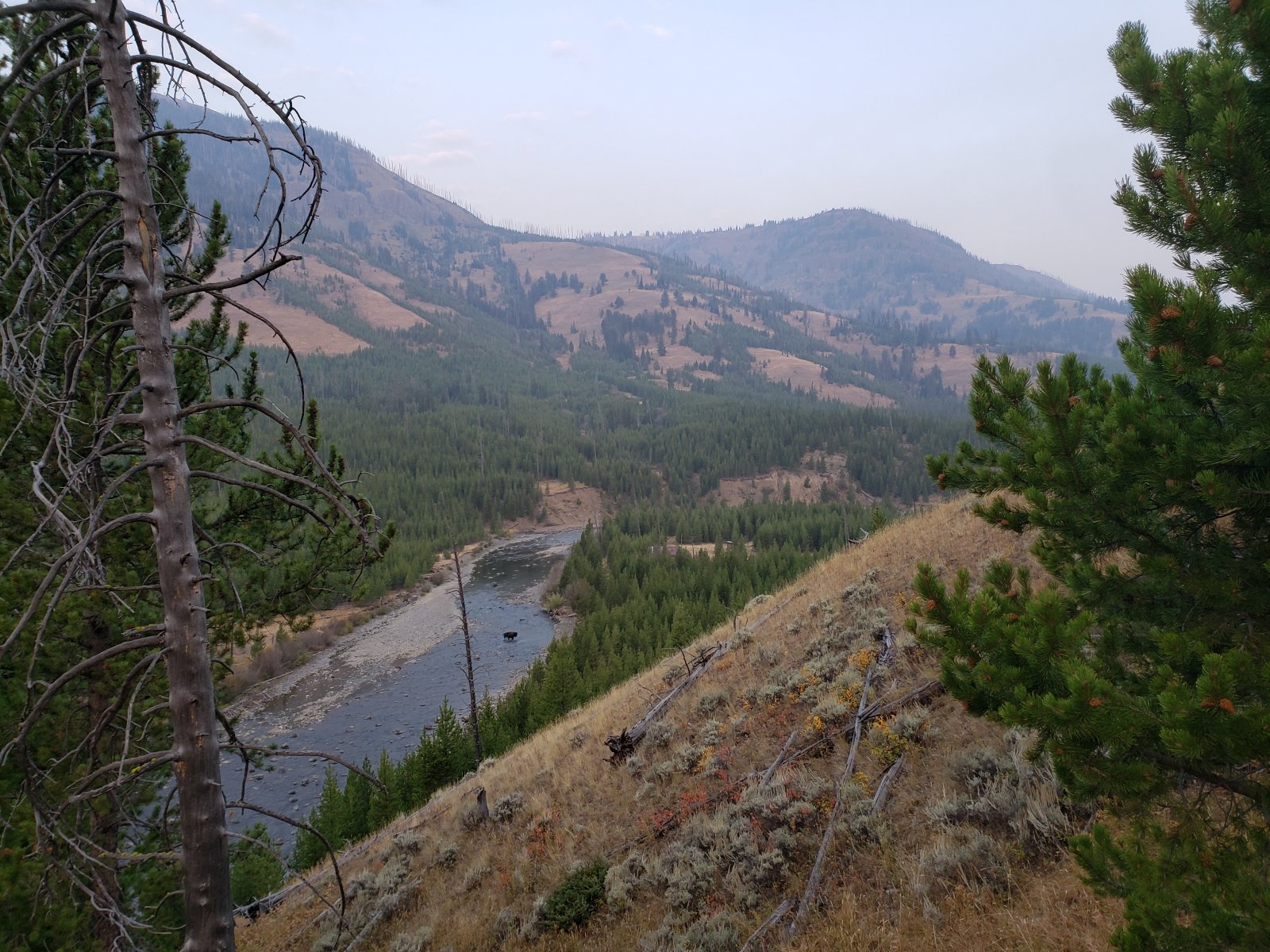 Trip photo from 009572