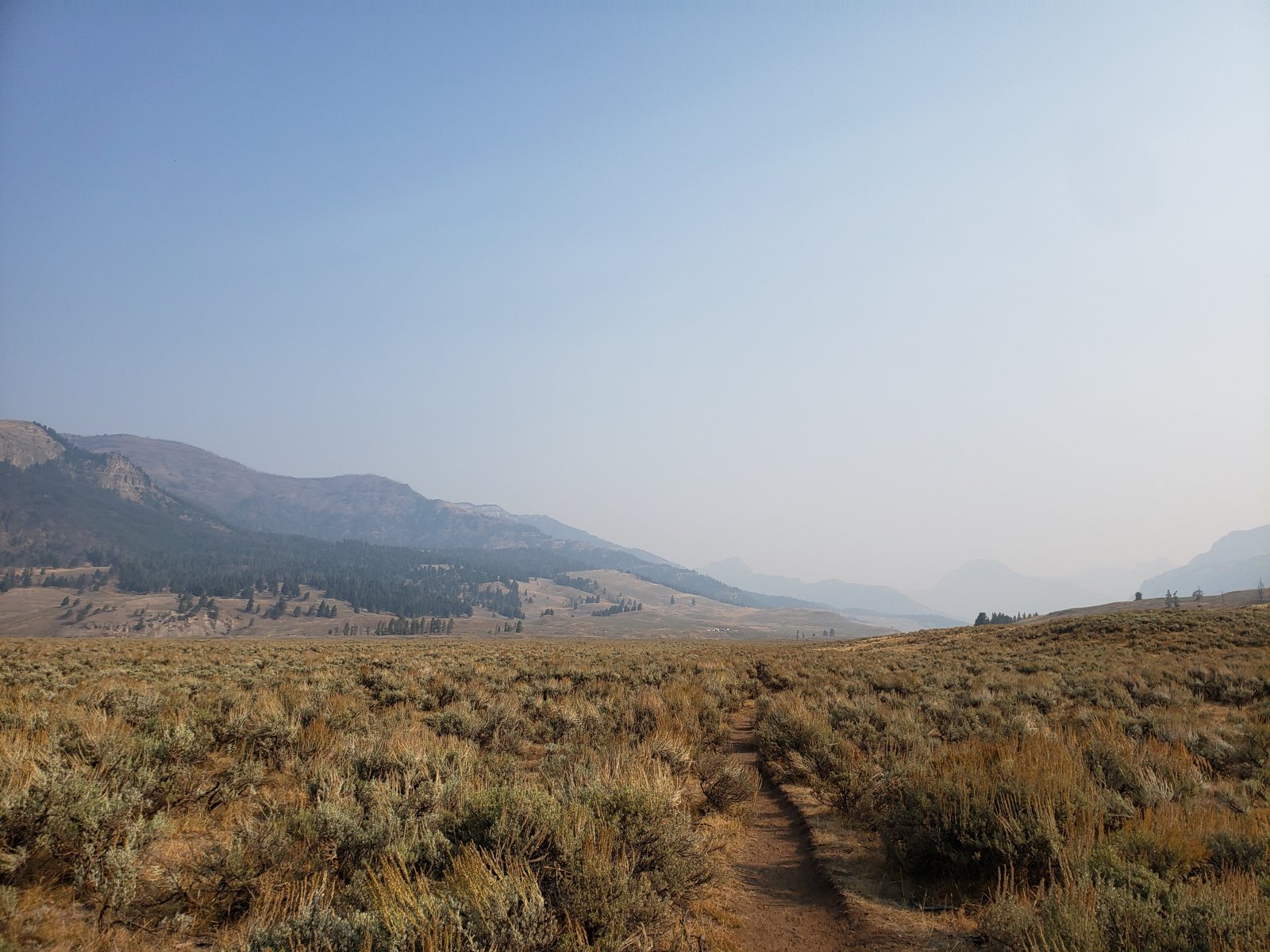 Trip photo from 009572