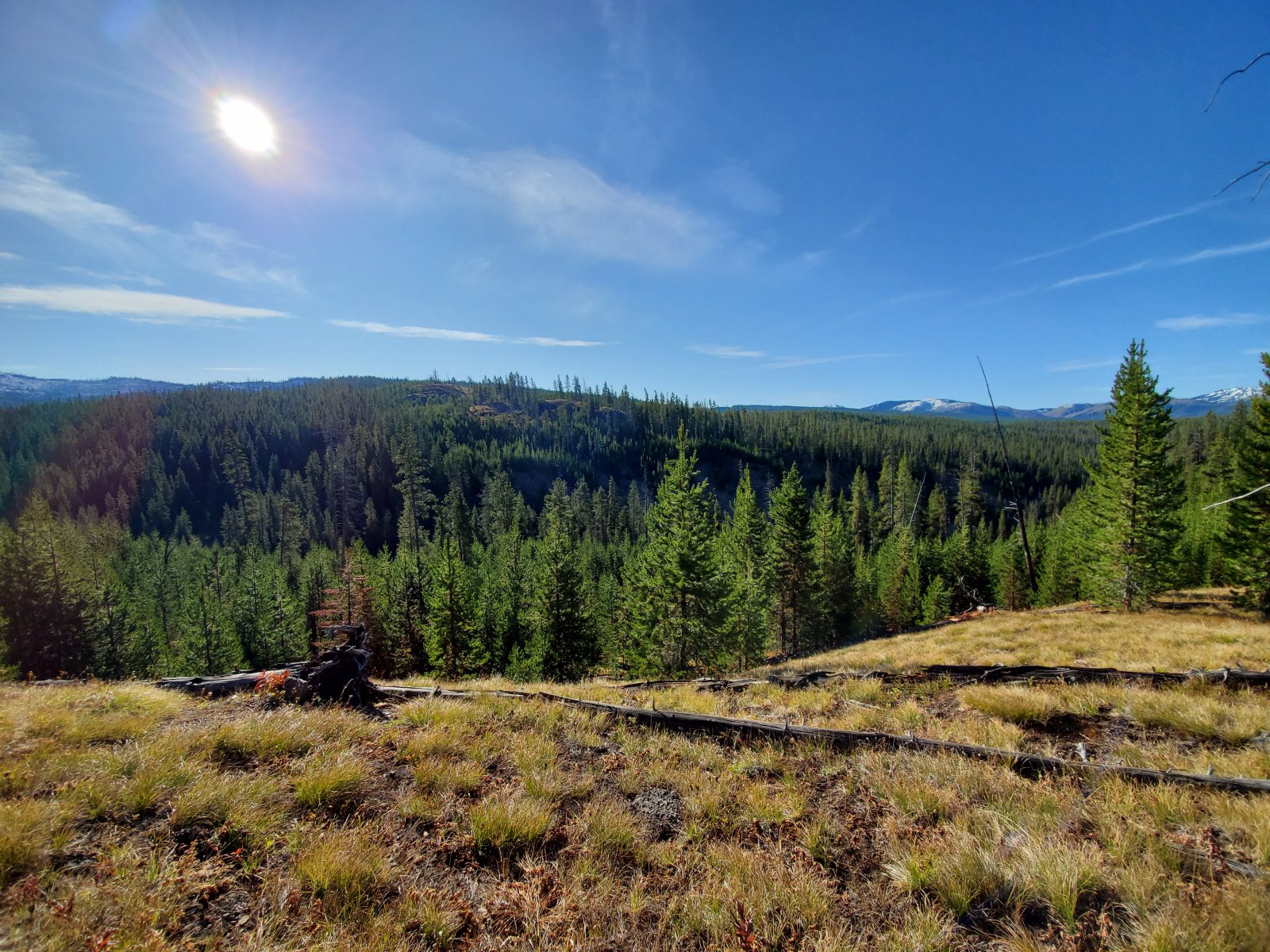 No complaints about the weather though.