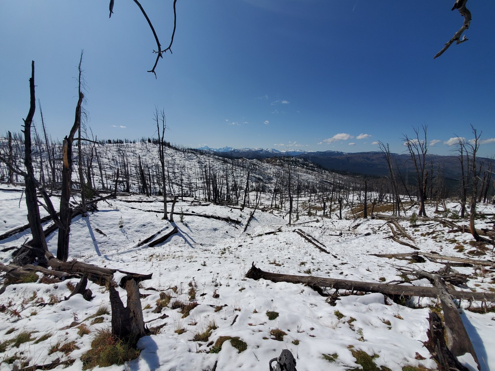 The first signs of winter...