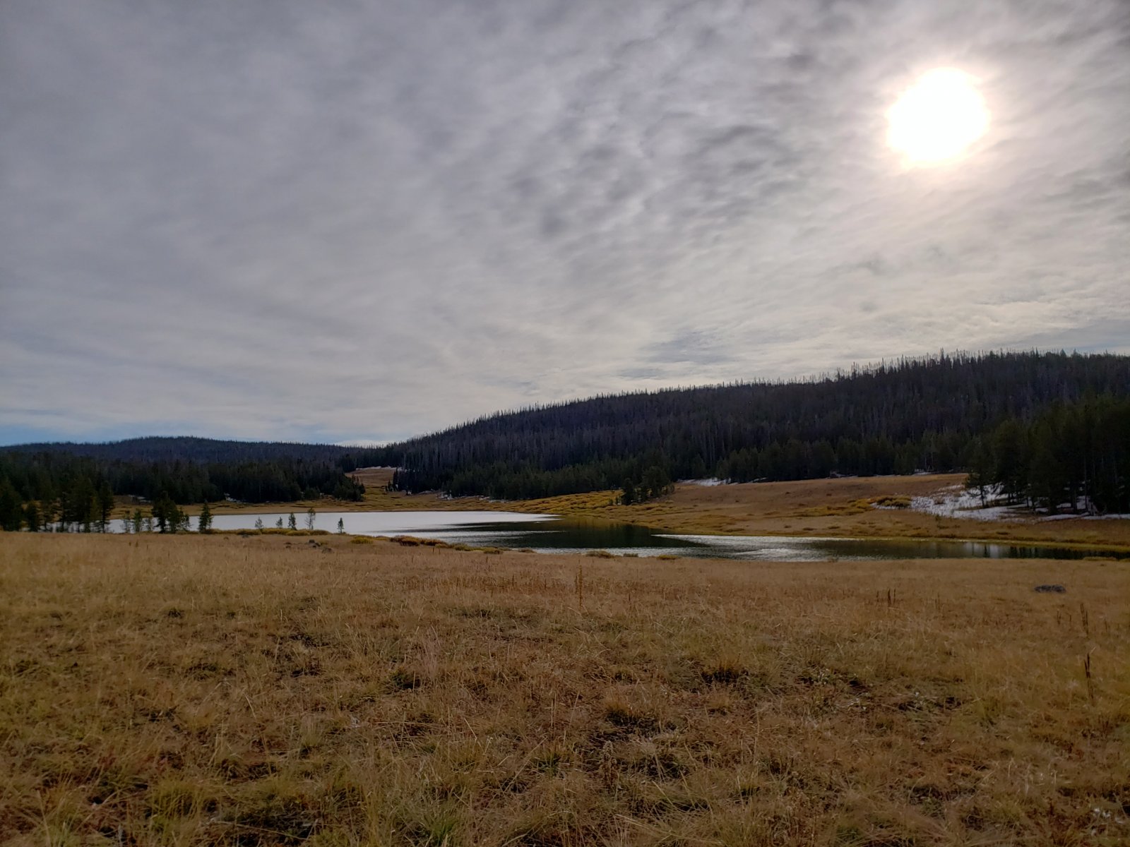 My brother is a carpenter and manages to get some of the strangest - but
 also beautiful - pictures of wood grain along our routes. (Probably 50%
 of his shots are close ups of trees.)