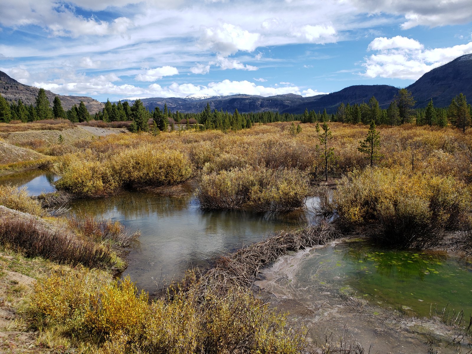 Some beaver ponds as we approached the patrol cabin.