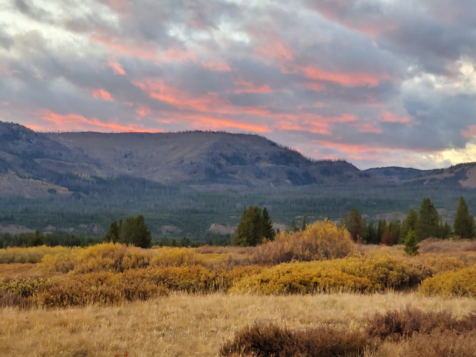 Trip photo from 009678