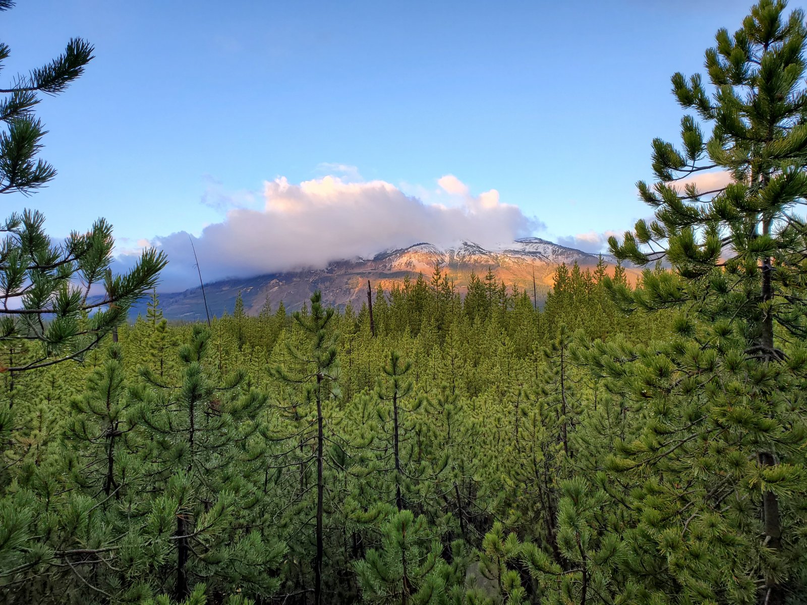 We saw Rustic Geyser erupting in the distance as we walked along the shoreline.