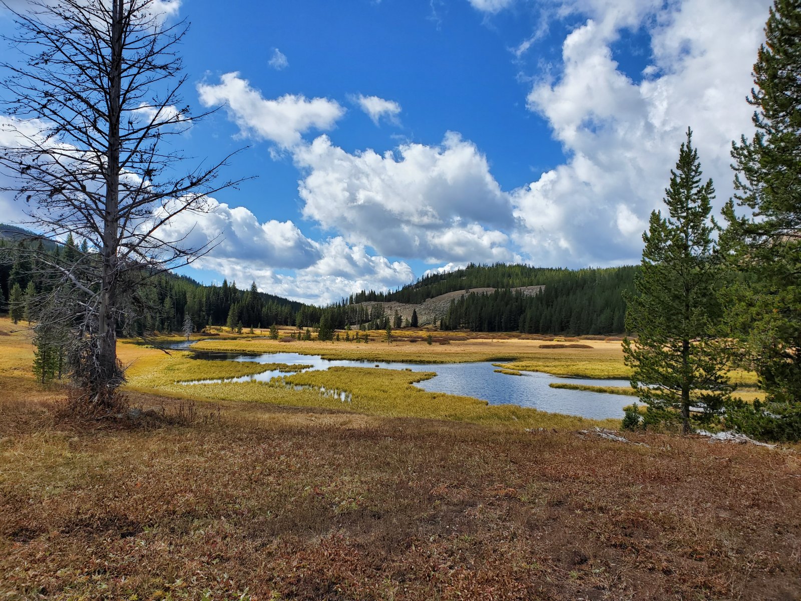 And we return to the Snake River... no more pictures from here, since we
 were now tracing our steps back to the truck. We did see a number of 
very fresh bear prints on top of our own from 5 days previous.