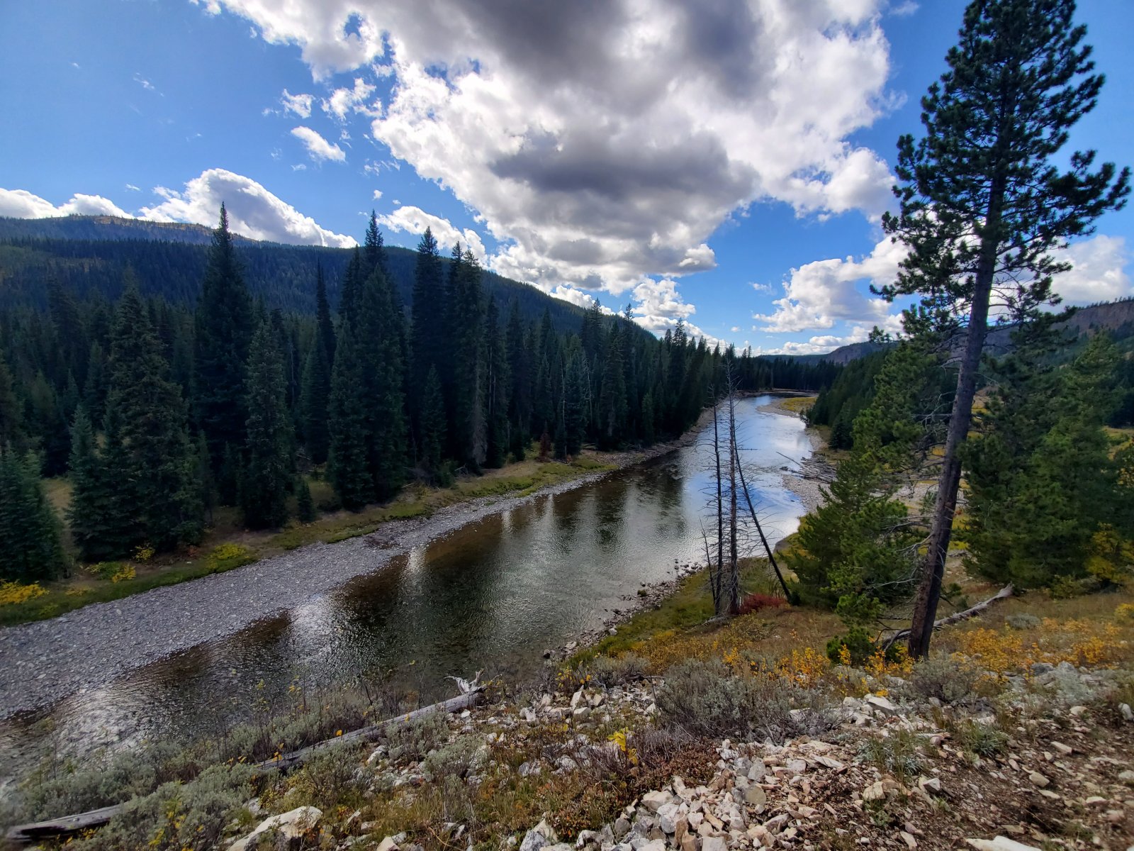 And we return to the Snake River... no more pictures from here, since we
 were now tracing our steps back to the truck. We did see a number of 
very fresh bear prints on top of our own from 5 days previous.