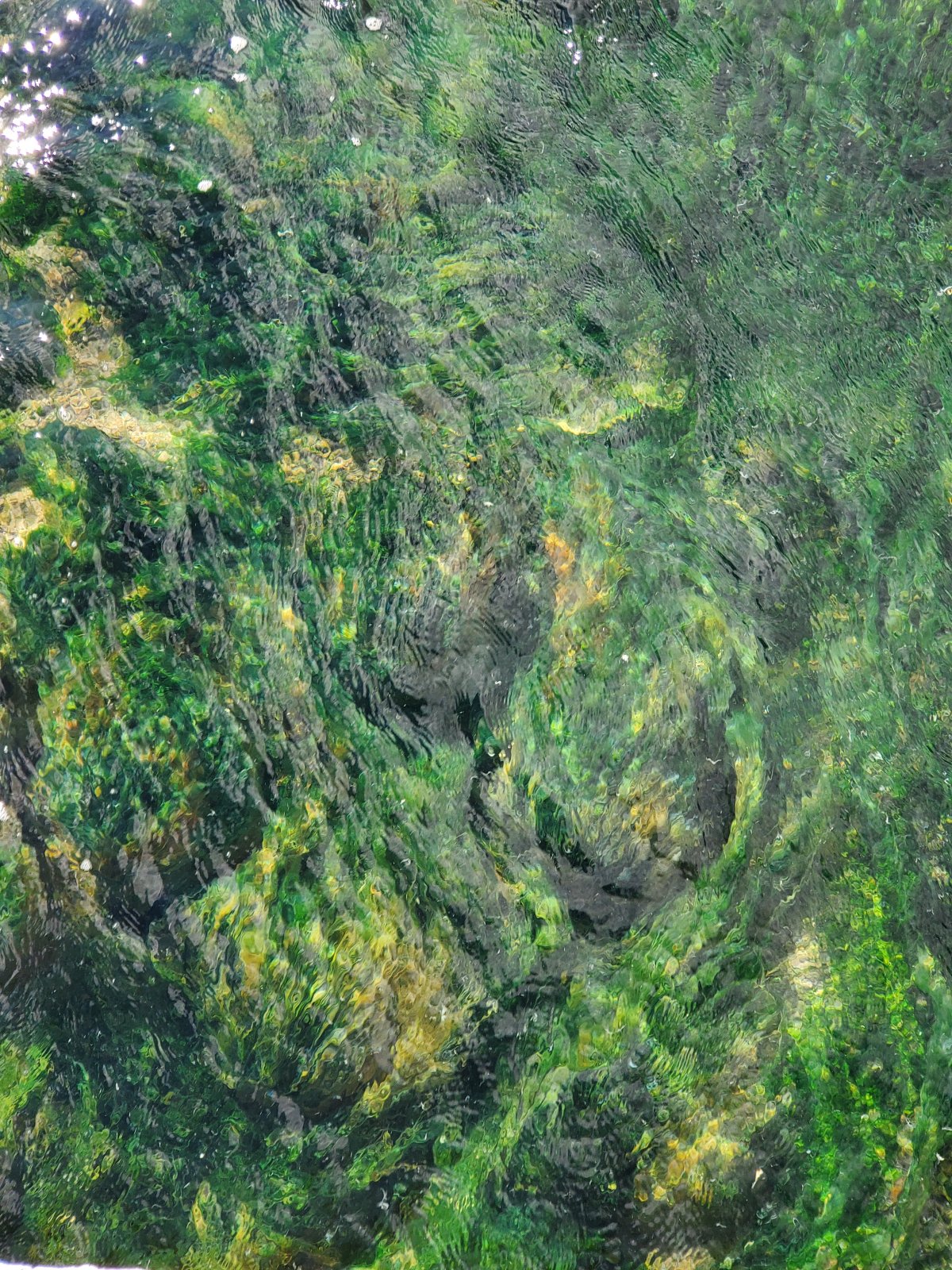 EDIT 20190922 153518