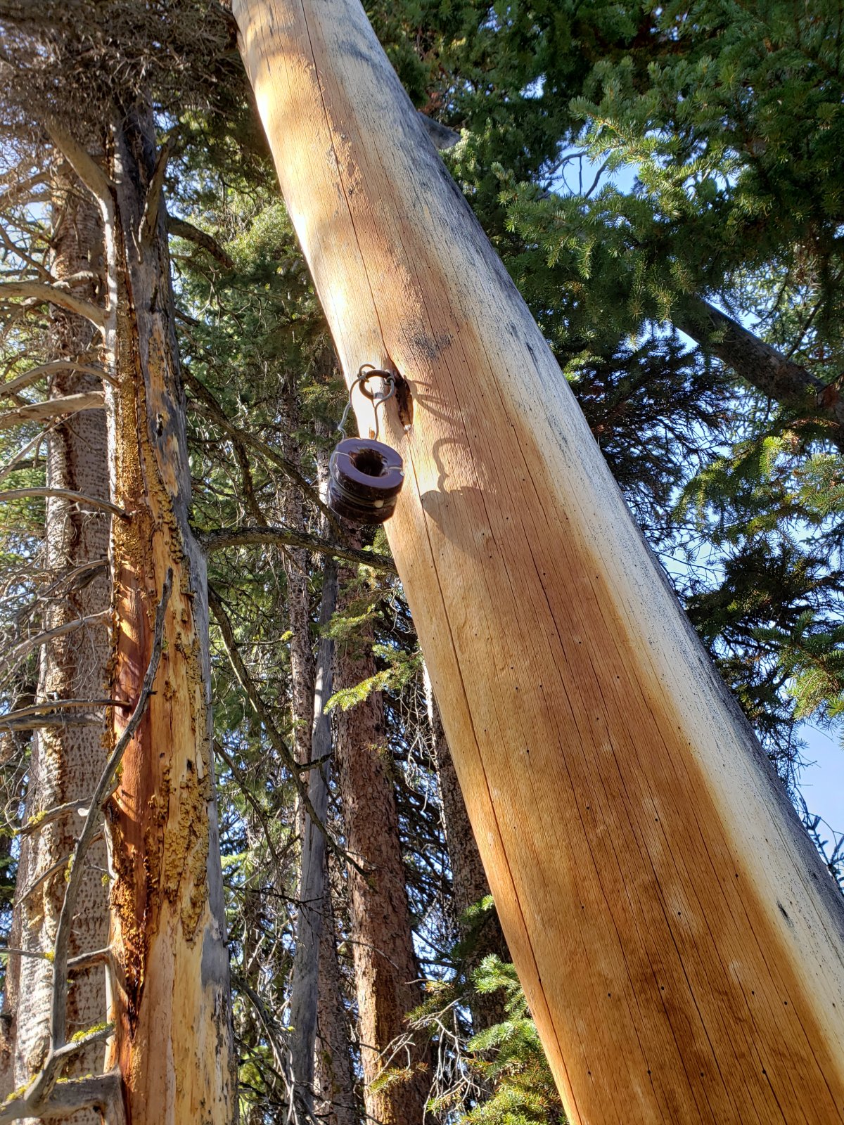 Some "historical trash" - we found a number of these along the trail as we approached the lake.
