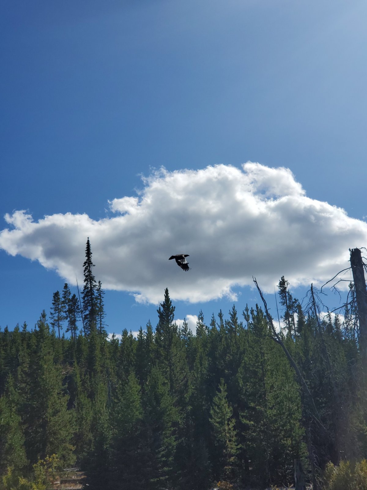 EDIT 20190925 144919 005