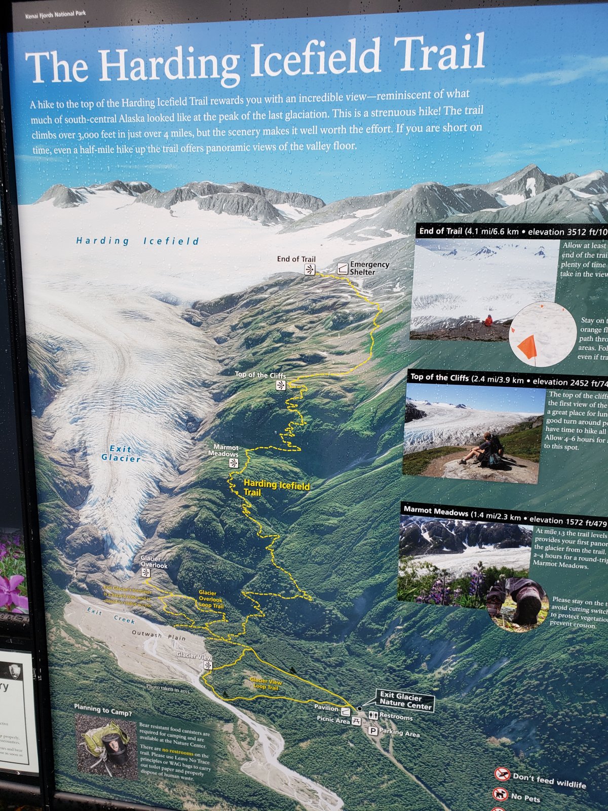 In return for reading my Day 3 wall-of-text above, here are some 
pictures from the pretty awesome day hike up to the Harding Icefield 
from Exit Glacier.