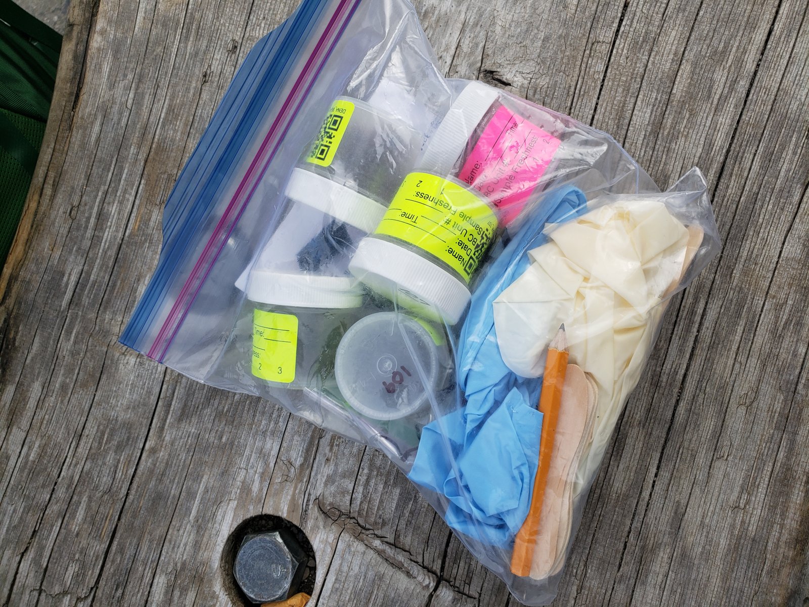 The bus ride out to the Toklat River was a trip unto itself. We would 
get very accustomed to the braided nature of Alaska's rivers by the end 
of our trip.