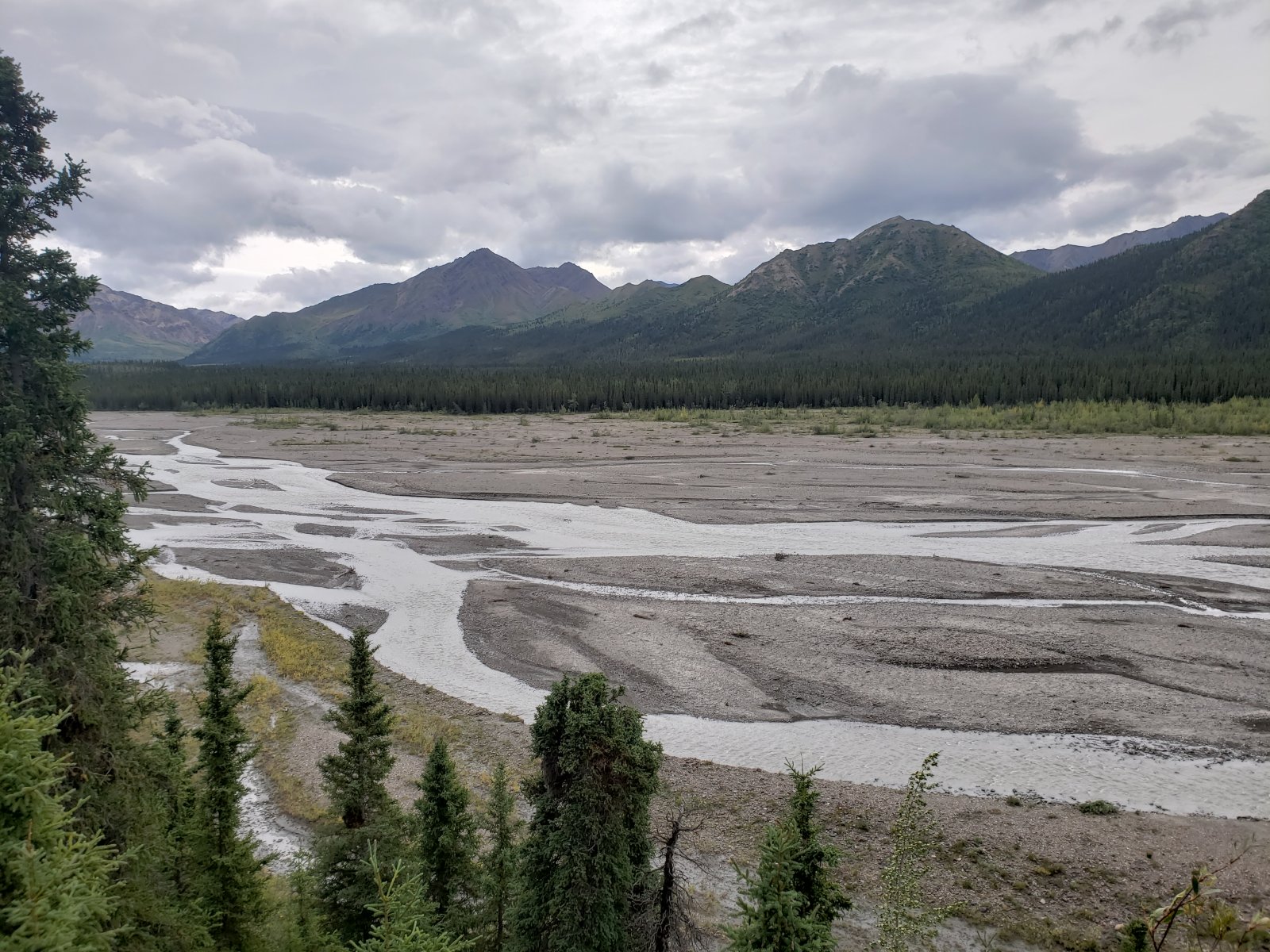 The bus ride out to the Toklat River was a trip unto itself. We would 
get very accustomed to the braided nature of Alaska's rivers by the end 
of our trip.