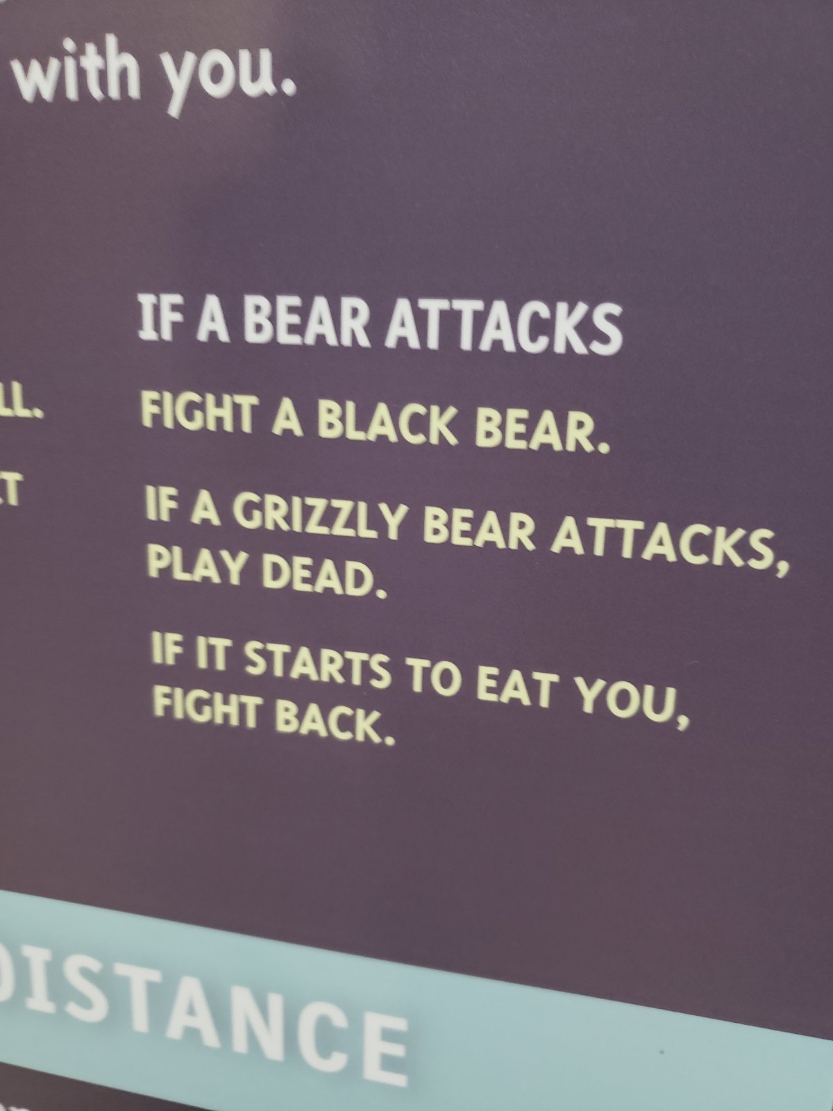 Kenai Fjords NP wins the award for my favorite government-endorsed bear attack instructions.