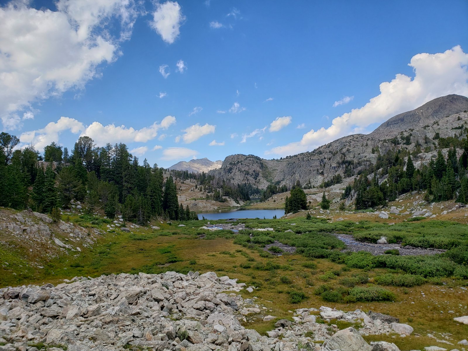 I really enjoyed my early camp at Summit Lake - there was only a small 
family of horsepackers on the opposite side of the lake. A small 
porcupine wandered around for over an hour, but somehow I never got a 
decent picture - it was nice to just watch.