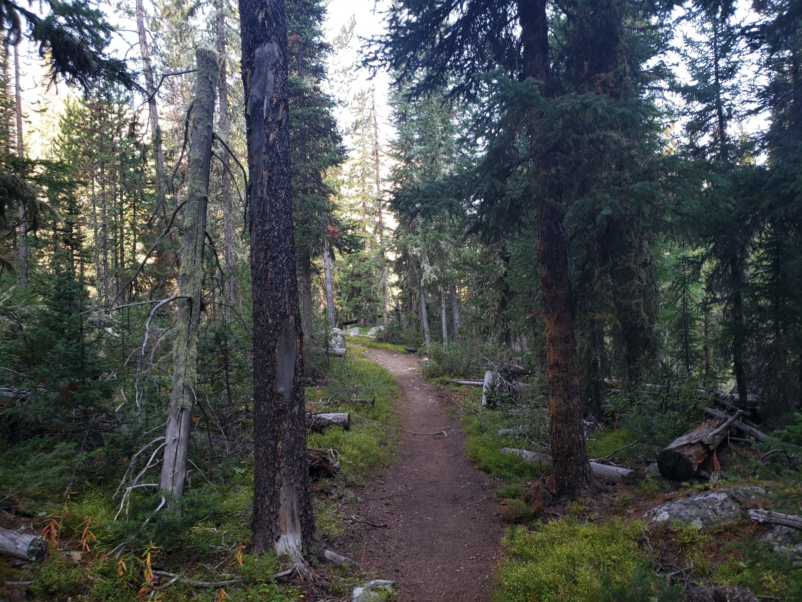 Trip photo from 009712