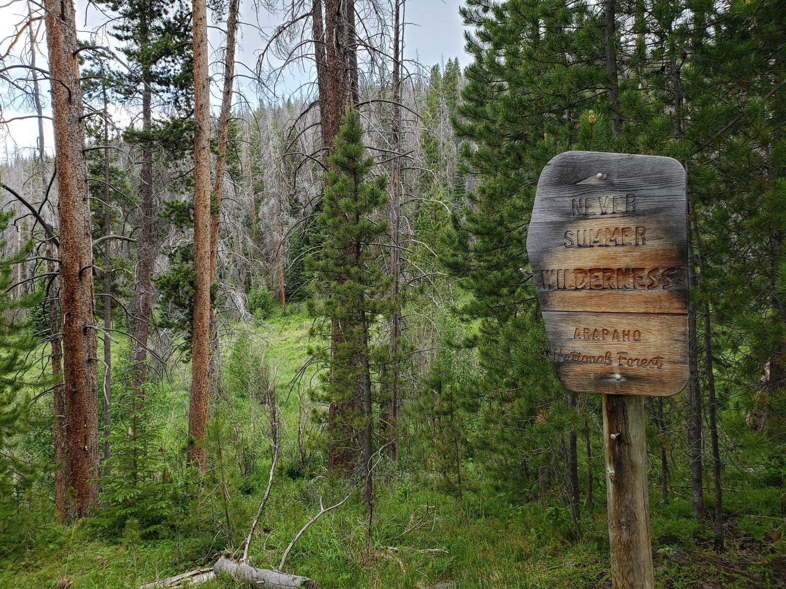 Trip photo from 009800