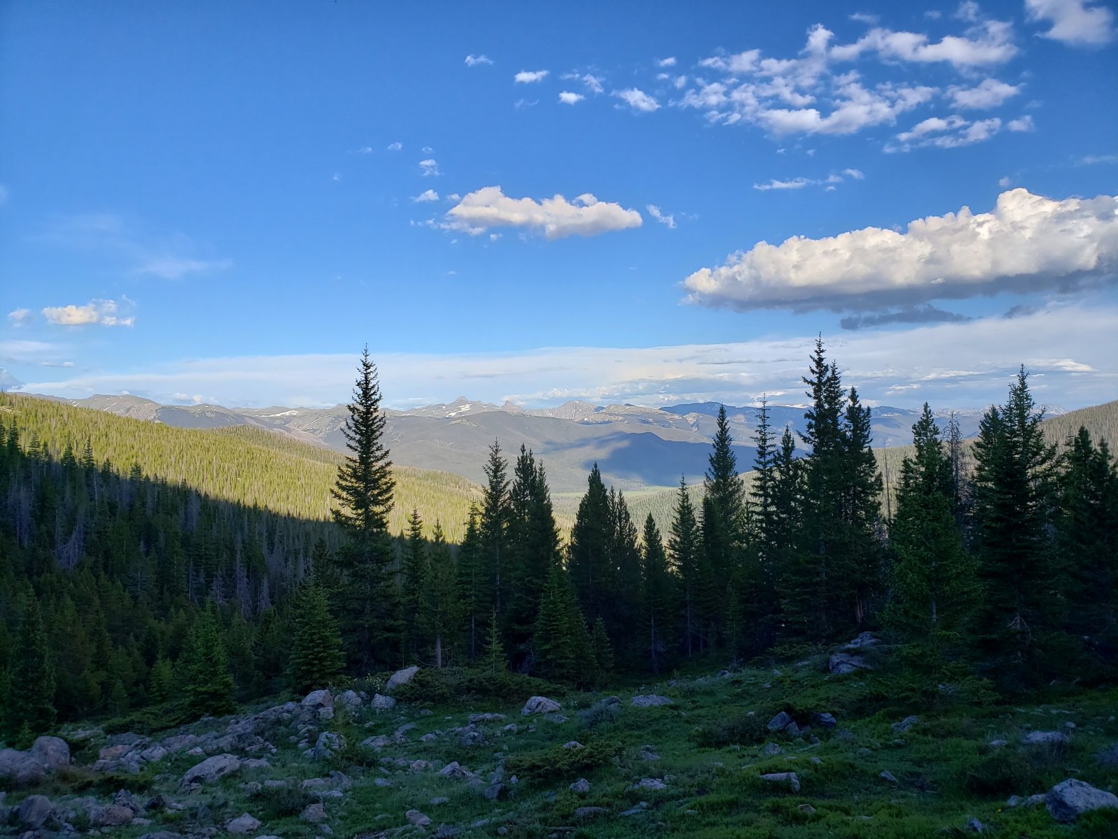 I believe large sections of the area pictured below were burned. When the area reopens, I'd like to get a comparison picture.