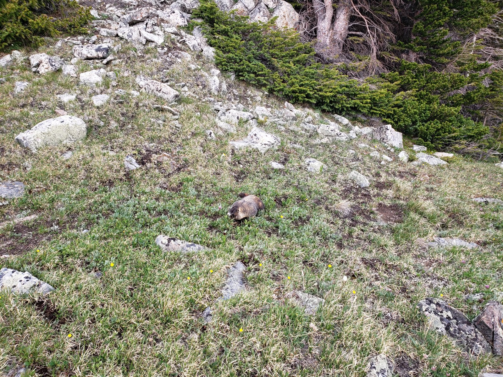 Trip photo from 009800