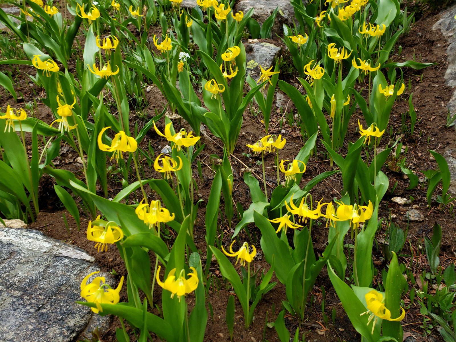 Trip photo from 009800