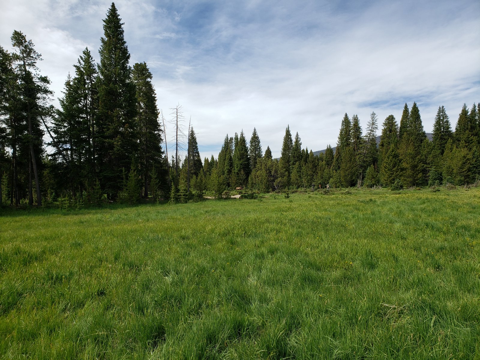 Trip photo from 009800