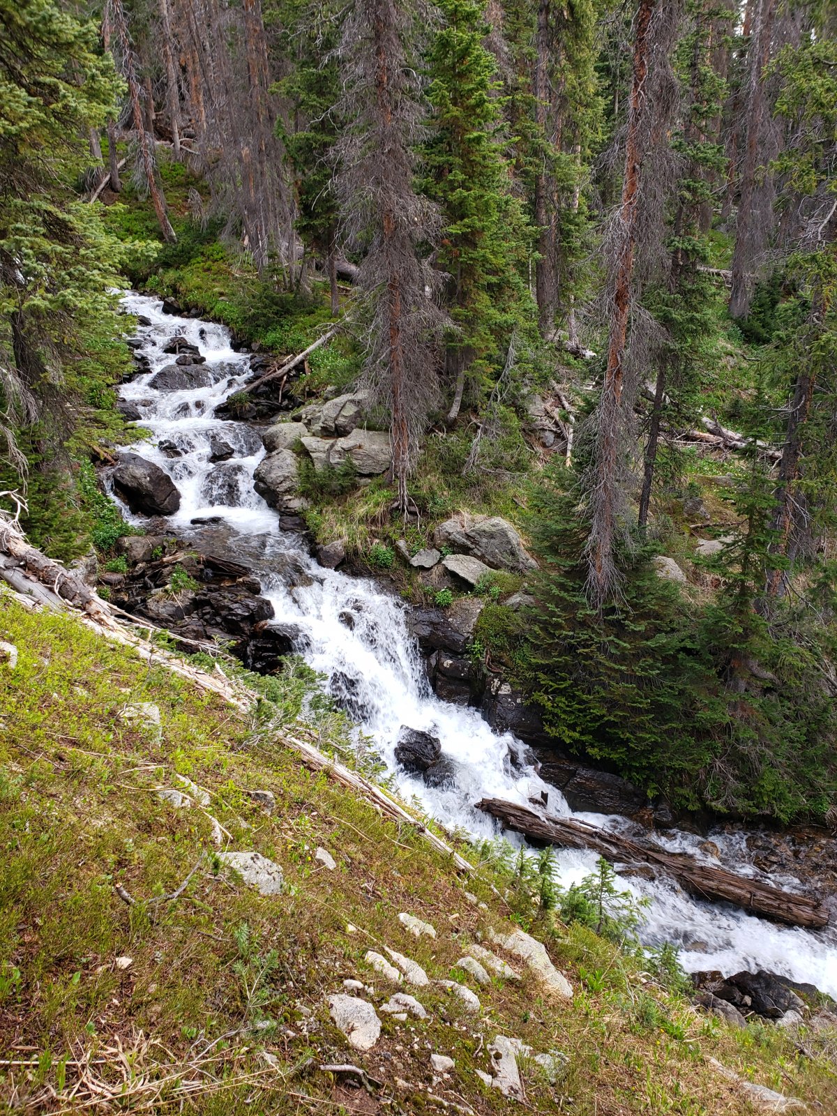 EDIT 20200629 074441