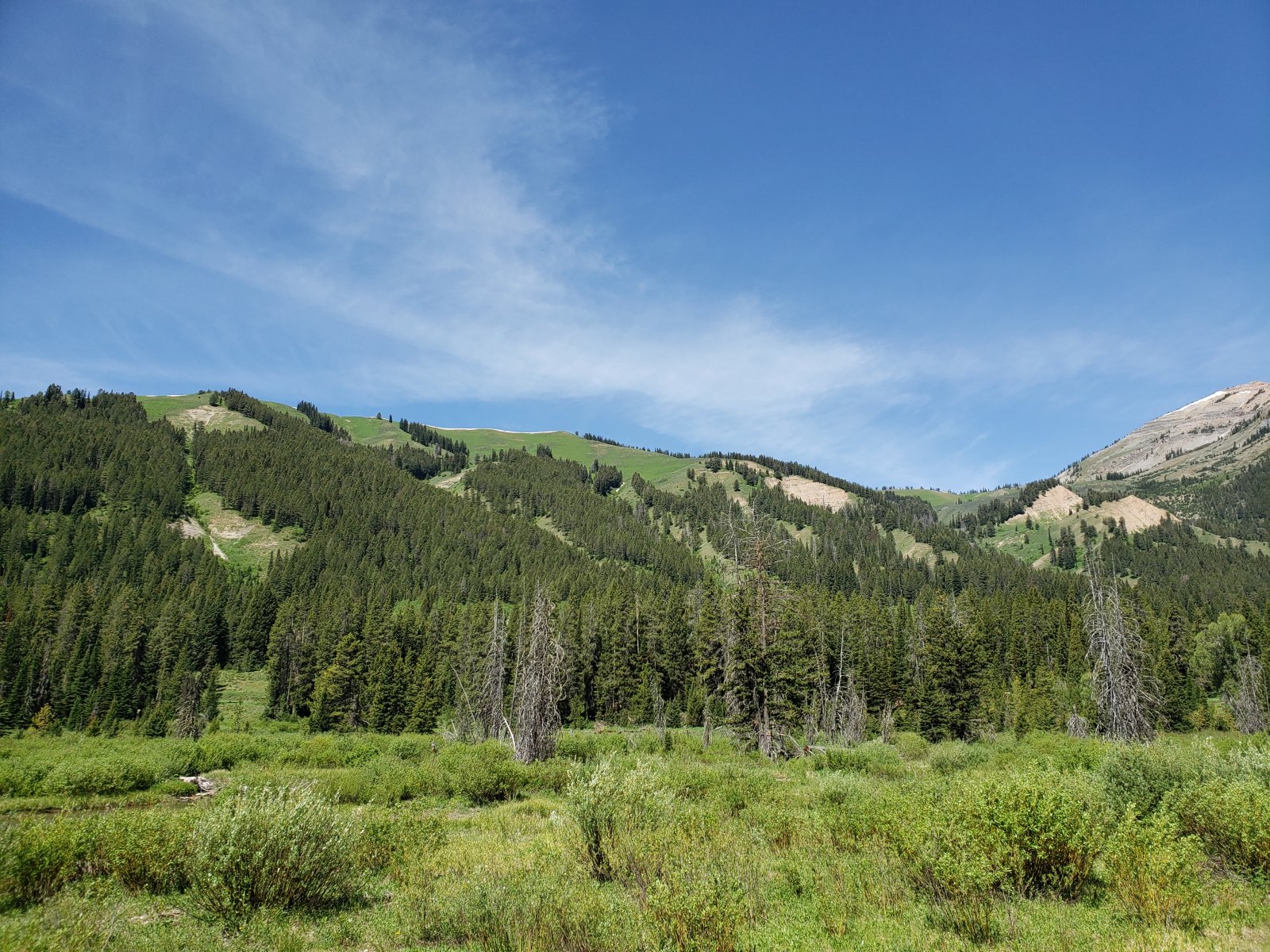 Trip photo from 009819