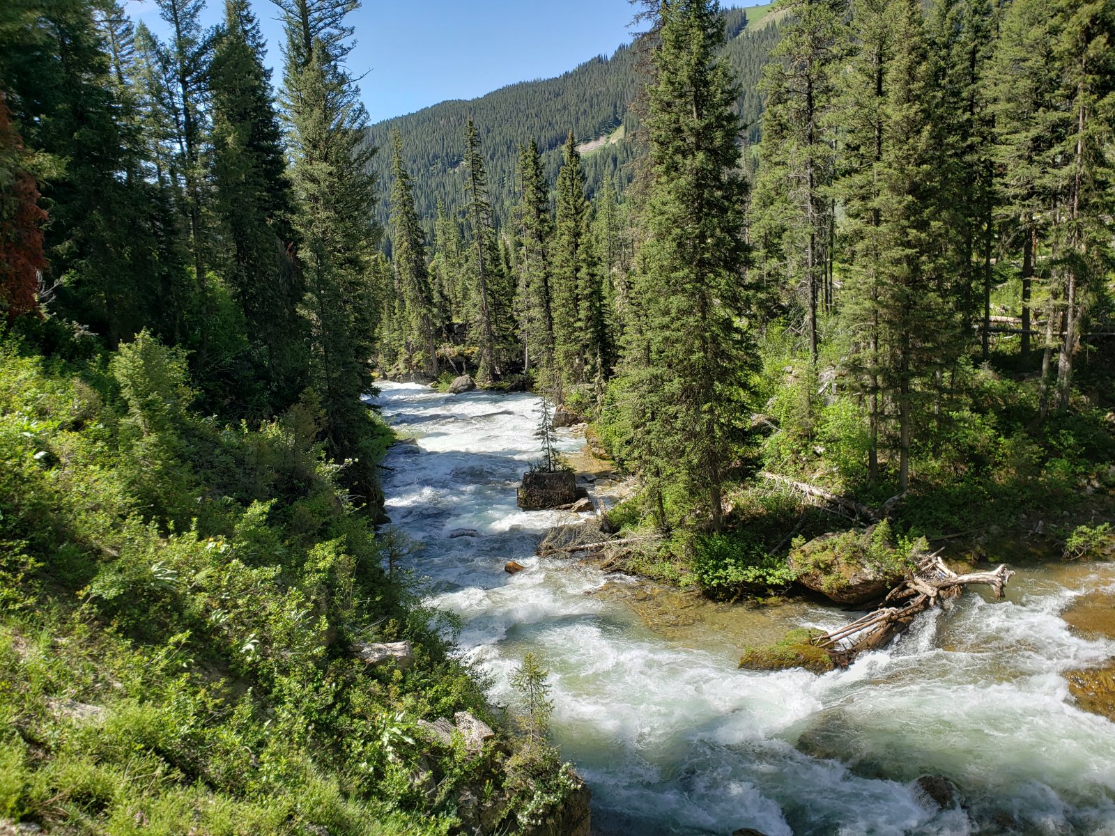 Trip photo from 009819