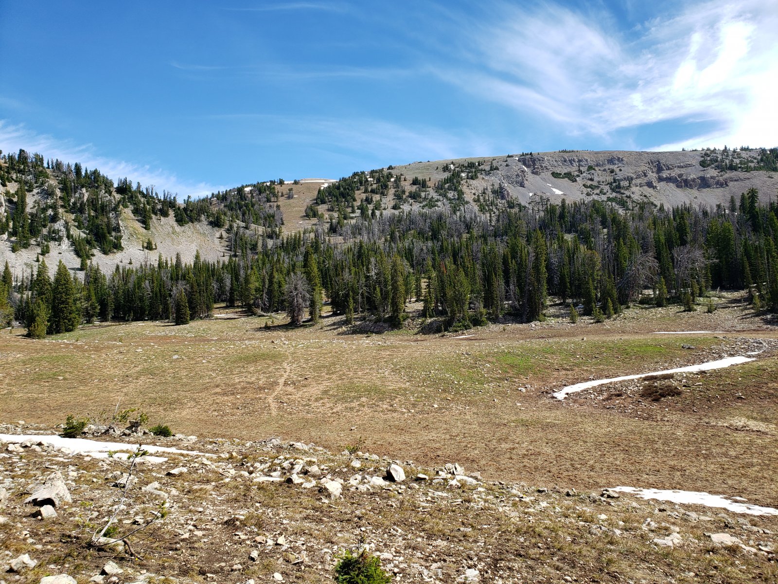 Even at almost 10,000', this side of the range was mostly snow-free - 
except in areas of persistent shade. (Based on satellite photos, this 
area was still predominantly covered in snow only a week prior.)