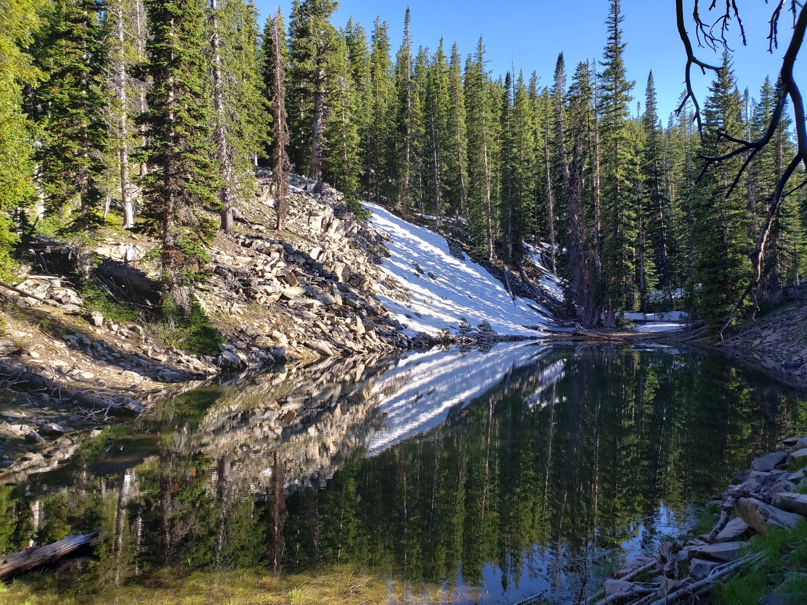 Trip photo from 009819