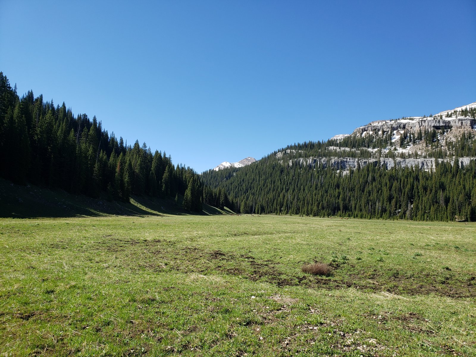 Trip photo from 009819