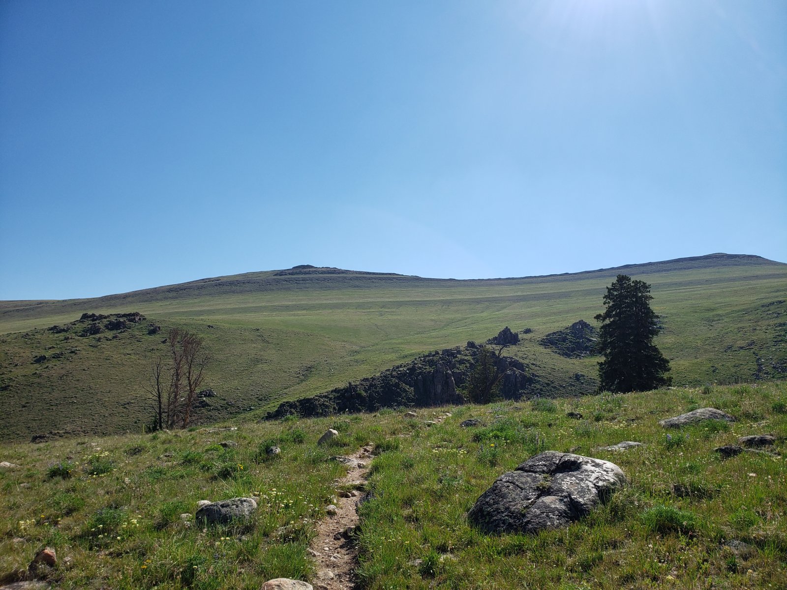 The trail up to Goat Flat/Arrow Mountain was fairly unassuming, but 
there was just the right amount of wind to make for very comfortable 
walking. I hadn't slept well the previous night, so at one point I 
stepped off trail a took a little nap.