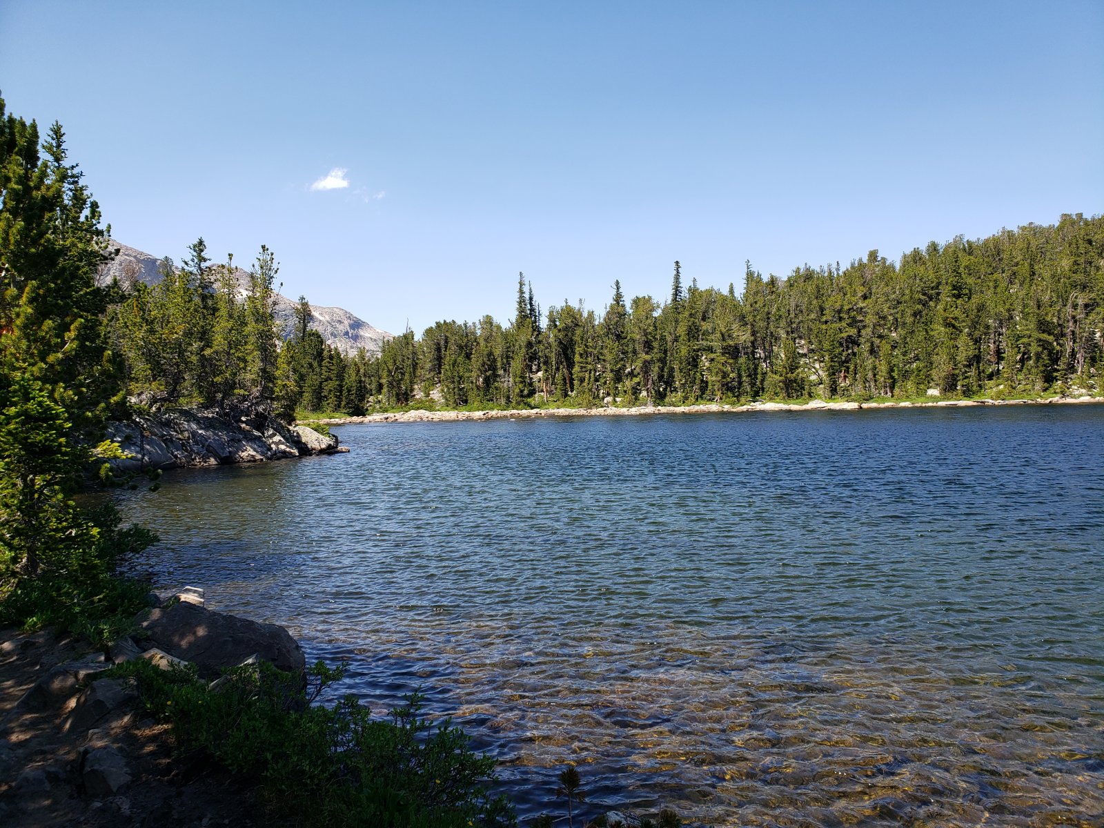 After descending a bit through a small burn scar, the trail passes a 
number of very nice lakes (Phillips, Double, Star, Honeymoon). When I 
was returning on Day 3 the fish at Double Lake were incredibly active - I
 wished I'd had my rod and a little more time.