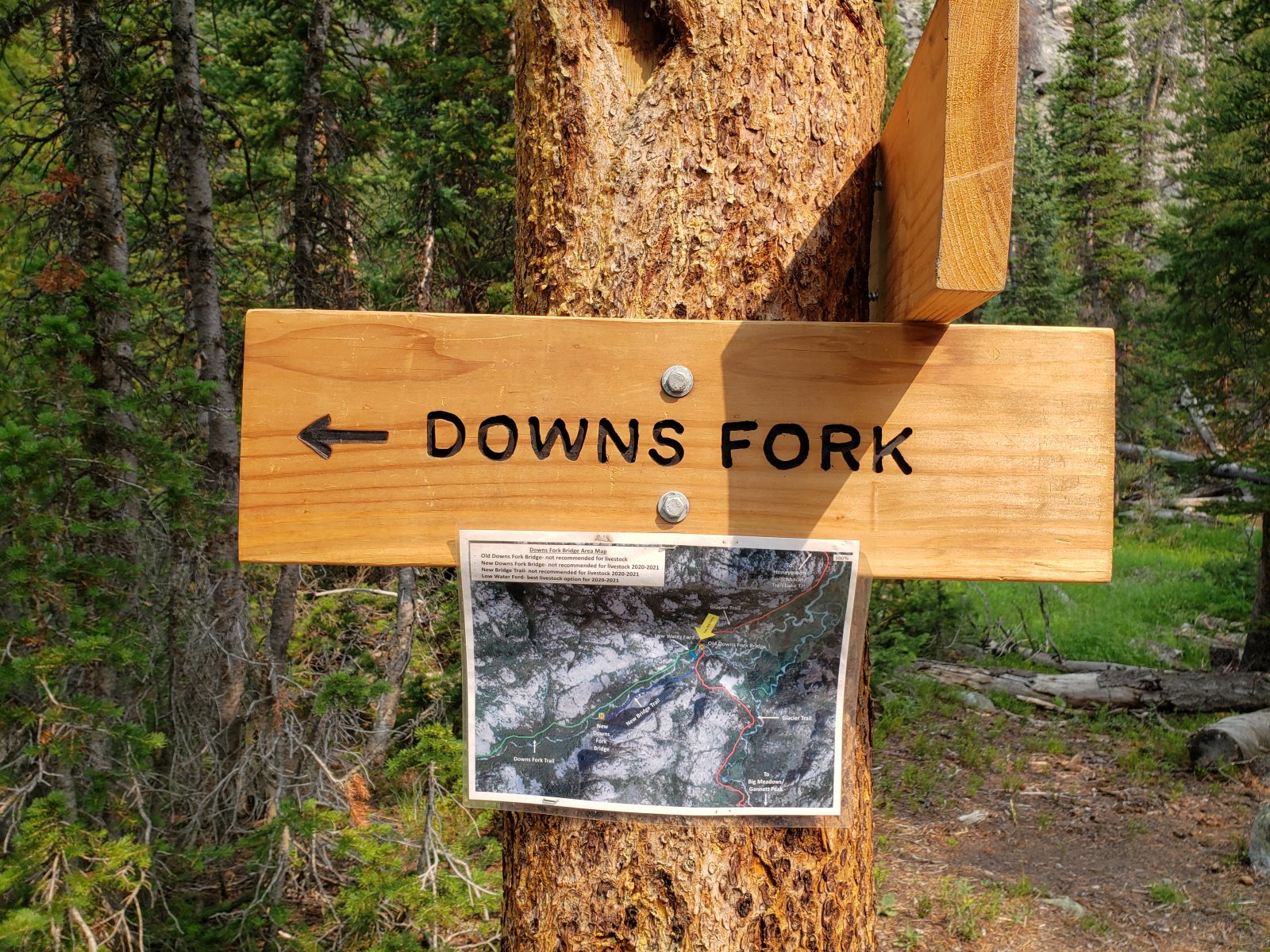 New trail routing for Downs Fork bridge, if anyone is interested.