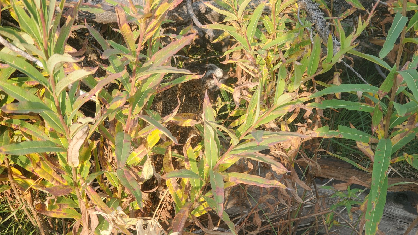 Trip photo from 009965