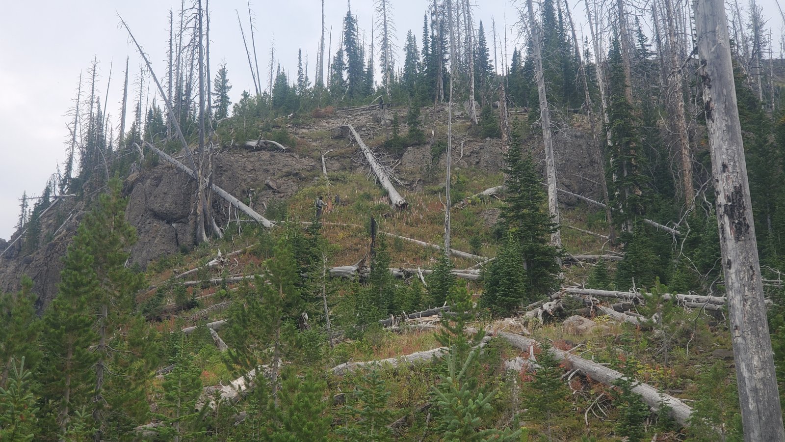 Looking at what would turn out to be the crux of the ascent - ended up finding a descent route, but climbed it*sans*packs and hauled them up separately.