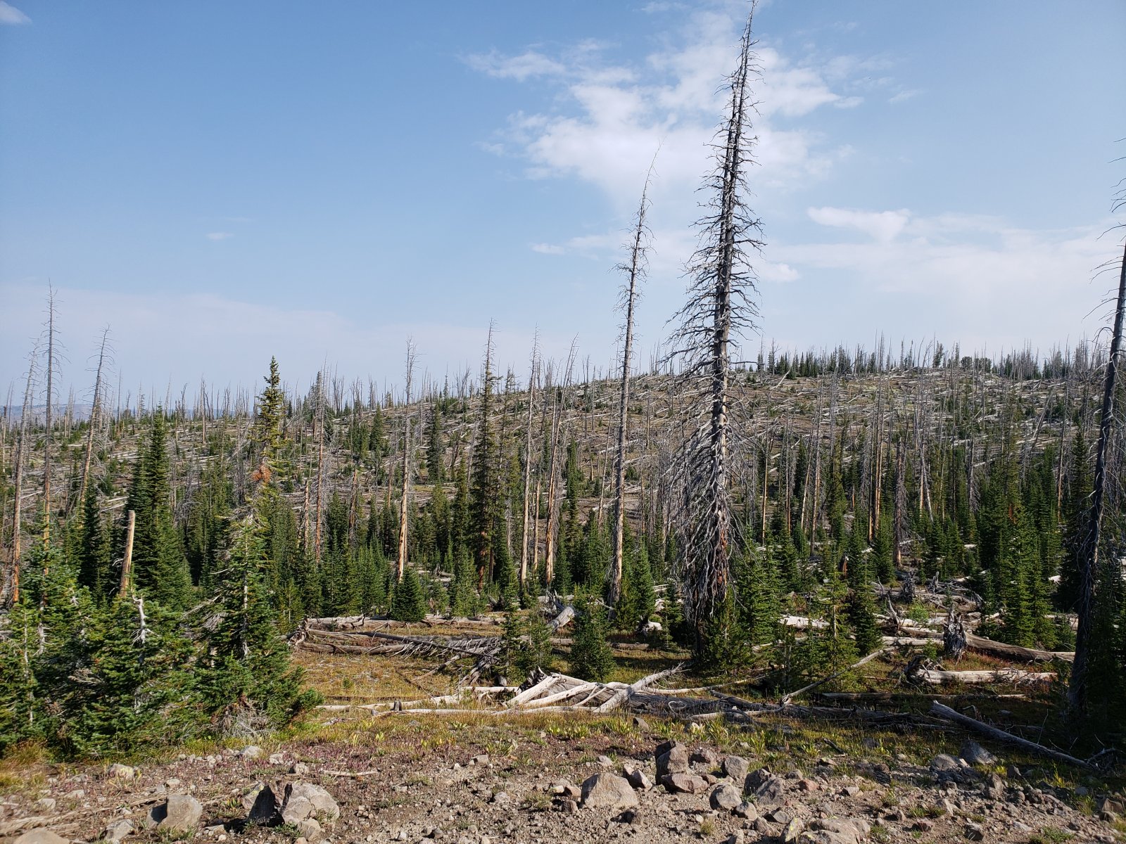 Trip photo from 009965