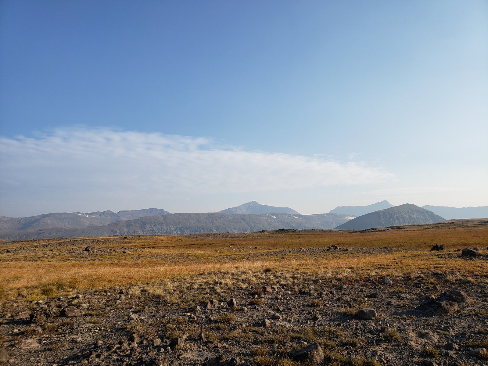 Looking out towards Buffalo Plateau.