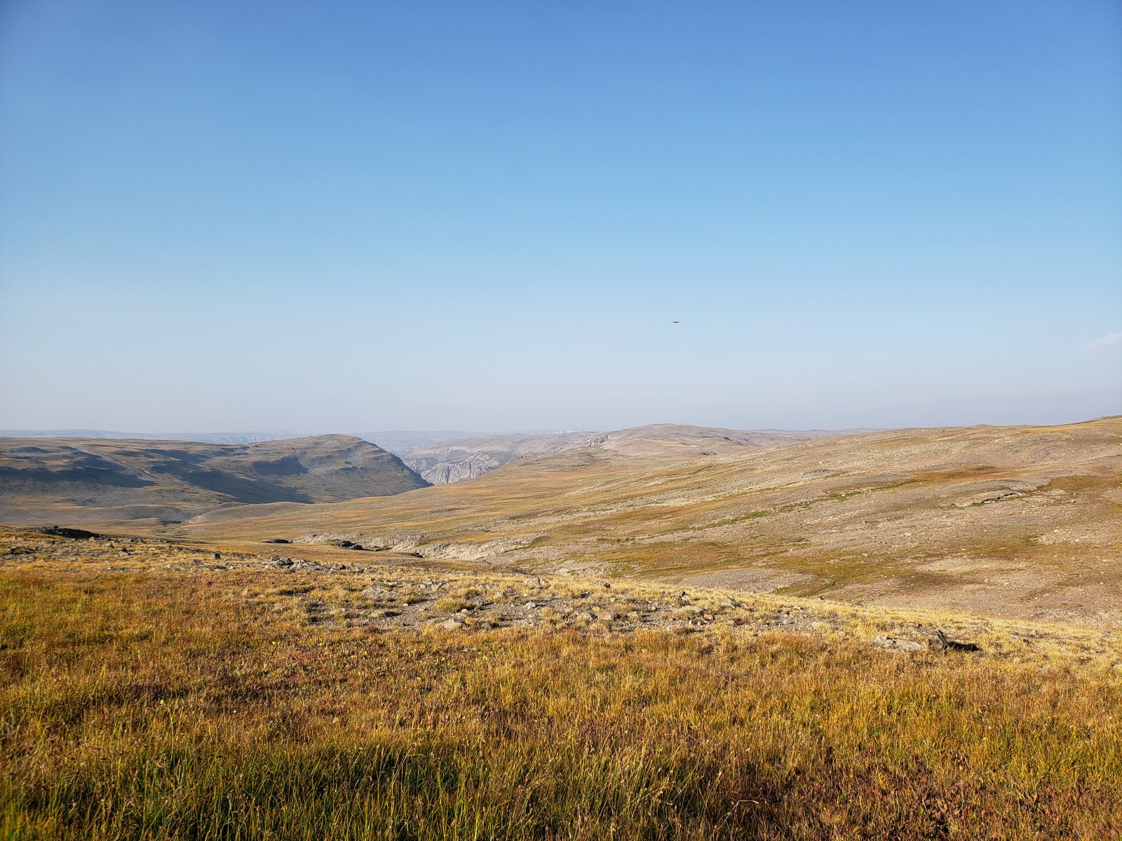 Looking out towards Buffalo Plateau.