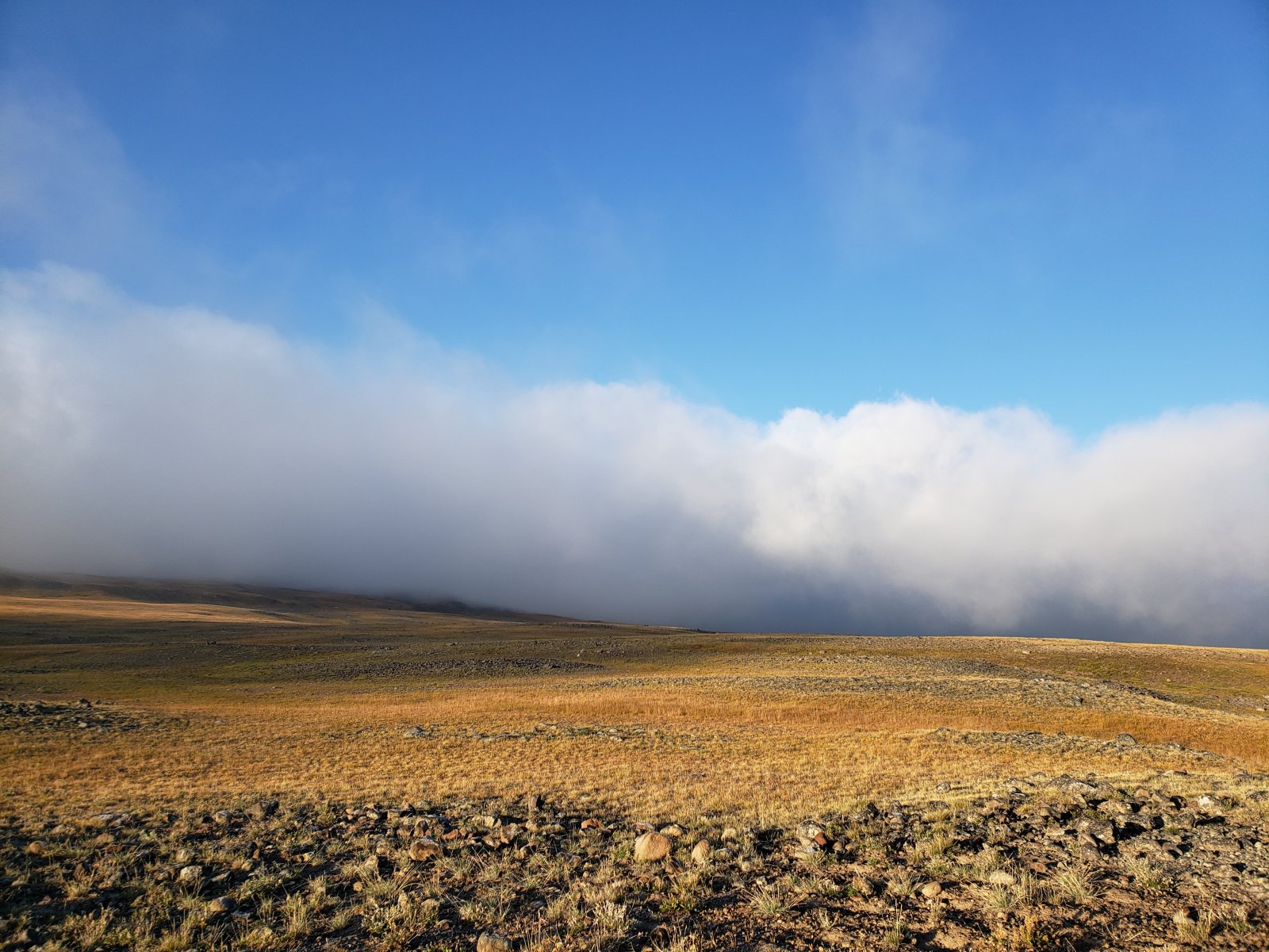 Trip photo from 009965