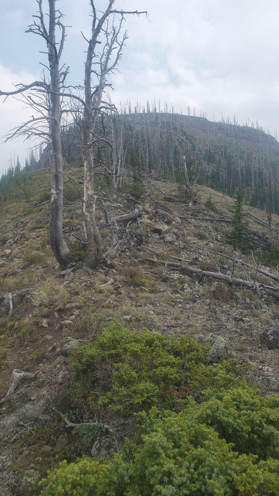 EDIT 20210824 163008